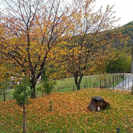 Pietro Falcone Séjour à la campagne