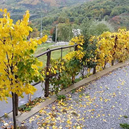 Séjour à la campagne Pietro Falcone *