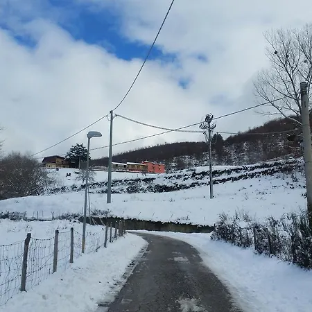 Pietro Falcone * Celico