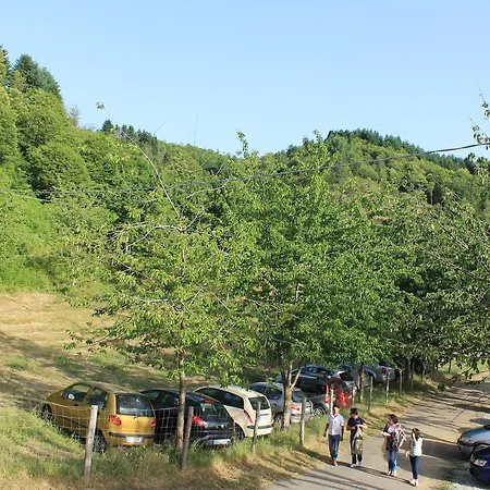 Pietro Falcone Séjour à la campagne