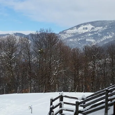 Pietro Falcone Celico