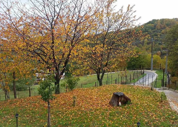 Pietro Falcone 乡村民宿