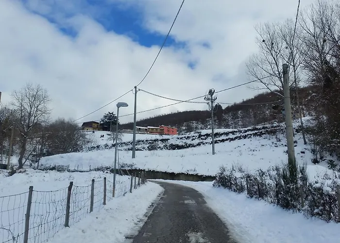 Pietro Falcone * Celico